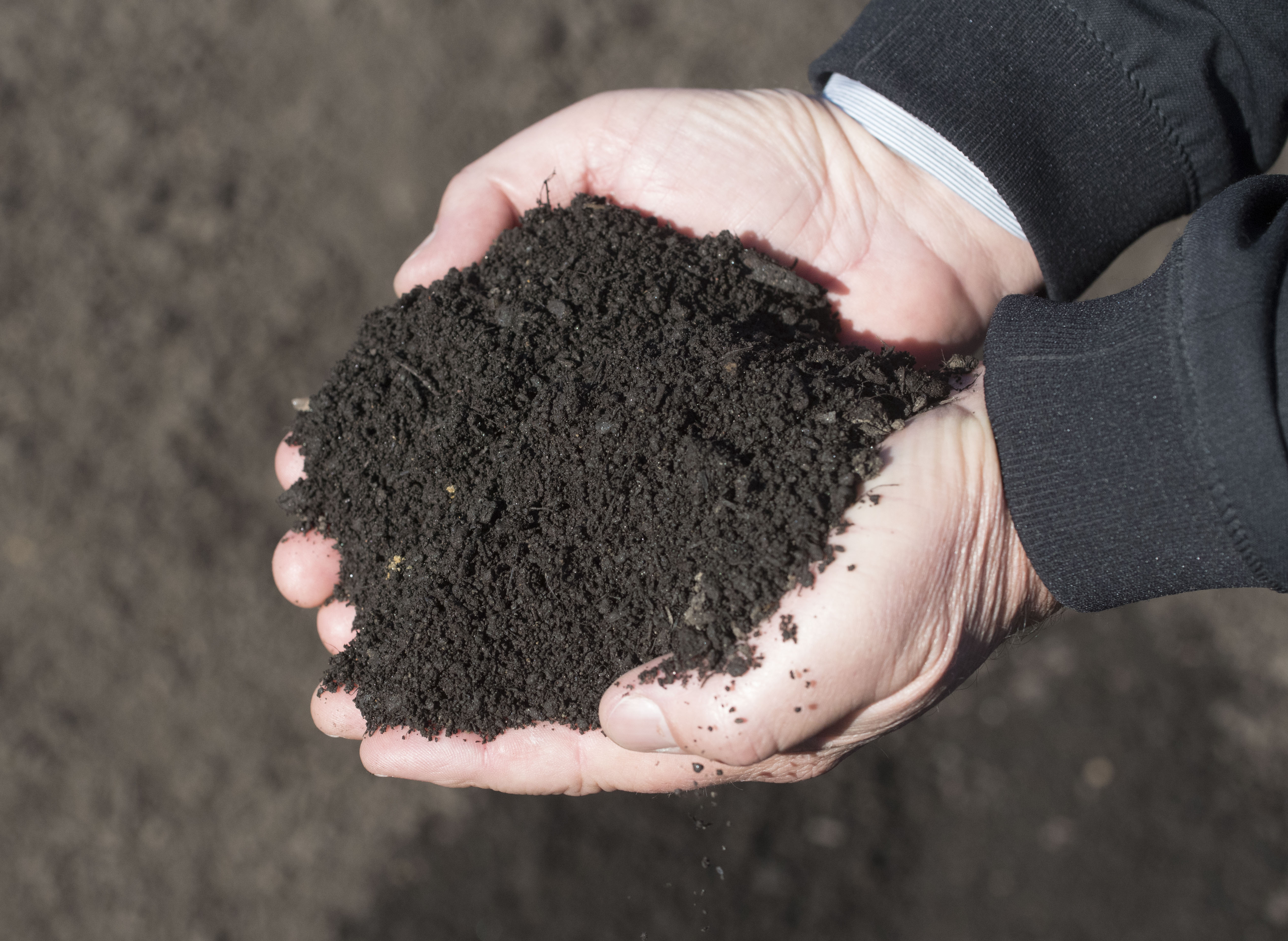 Handful of Compost